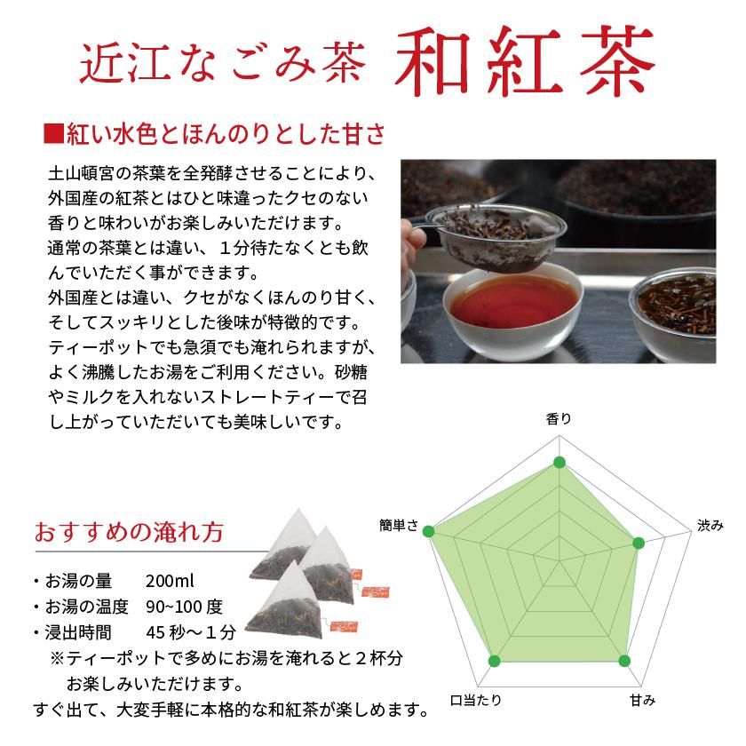 プレゼント ギフト お茶 無添加 砂糖不使用 ドライフルーツ 近江なごみ茶 ティーバッグ セット 玉露 かぶせ茶 ほうじ茶 |  | 11