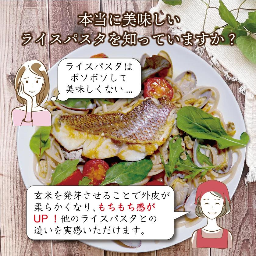 プレゼント ギフト グルテンフリー 小麦粉不使用 アレルギー対応 玄米麺 発芽玄米 国産 パスタ 麺 選べる発芽玄米めん |  | 03