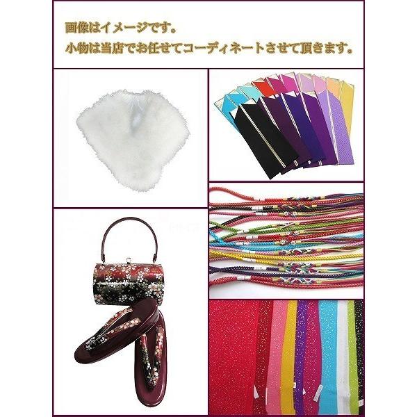 洗える振袖フルセット■H・L（アッシュ・エル)絵羽柄 ■ダークグリーン系/貝桶・古典柄 [4]の画像