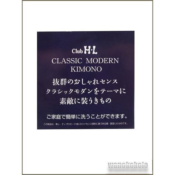 洗える着物 袷小紋 H.L(アッシュ・エル) 変わり織 F ●クラッシックモダン● 柳鼠系/縞・唐草柄 No.310｜wanokokolo｜05