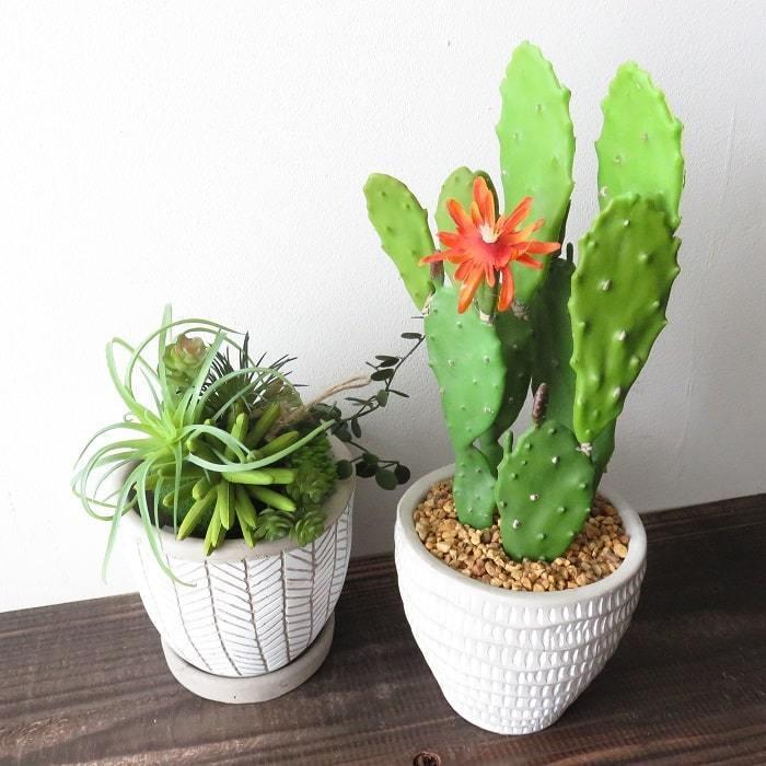 観葉植物 フェイクグリーン バニーカクタスポット ホワイト ドット柄 サボテン 白桃扇 多肉植物 ウサギ 造花 ギフト インテリア インク 通販 Yahoo ショッピング