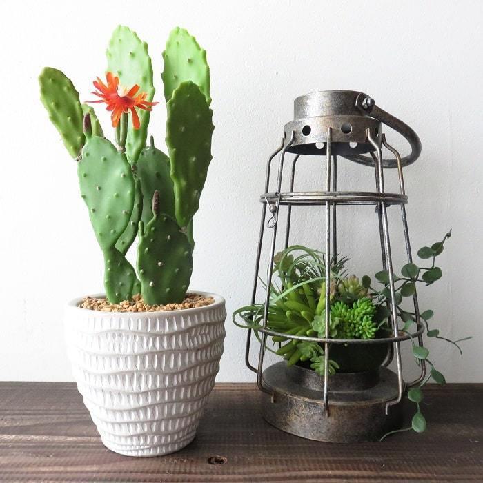 観葉植物 フェイクグリーン バニーカクタスポット ホワイト ドット柄 サボテン 白桃扇 多肉植物 ウサギ 造花 ギフト インテリア インク 通販 Yahoo ショッピング