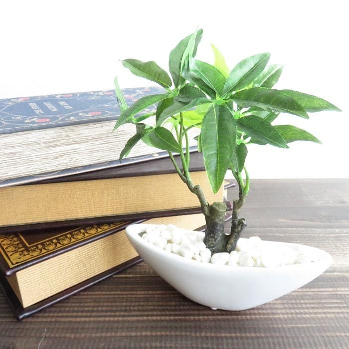 観葉植物 造花 ホワイト ミニポット Aタイプ パキラ ユッカ アーティ