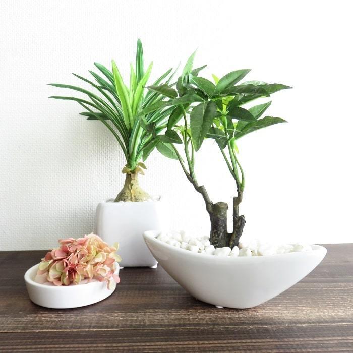 観葉植物 造花 ホワイト ミニポット Aタイプ パキラ ユッカ