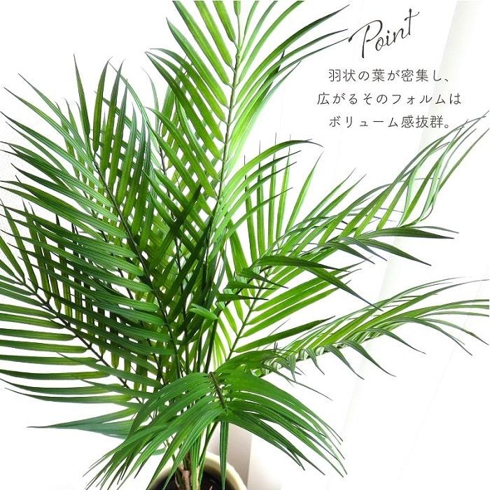 人工観葉植物 アーティフィシャルグリーン アレカパームツリーポット 
