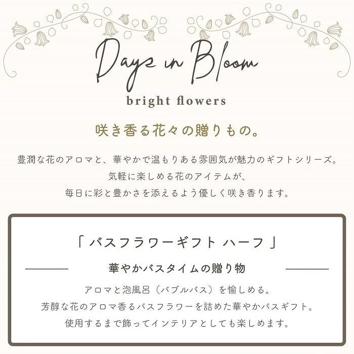 グローバルプロダクトプランニング バス用品 入浴剤 デイズイン