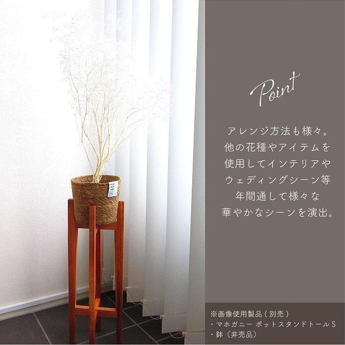 ドライフラワー プリザーブドフラワー ソフトミニカスミ草 白 全長約