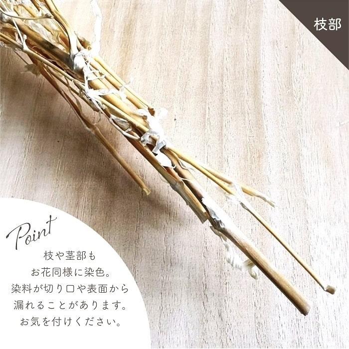 ドライフラワー プリザーブドフラワー ソフトミニカスミ草 白 全長約