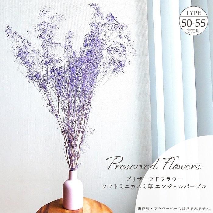 ドライフラワー プリザーブドフラワー ソフトミニカスミ草 エンジェル