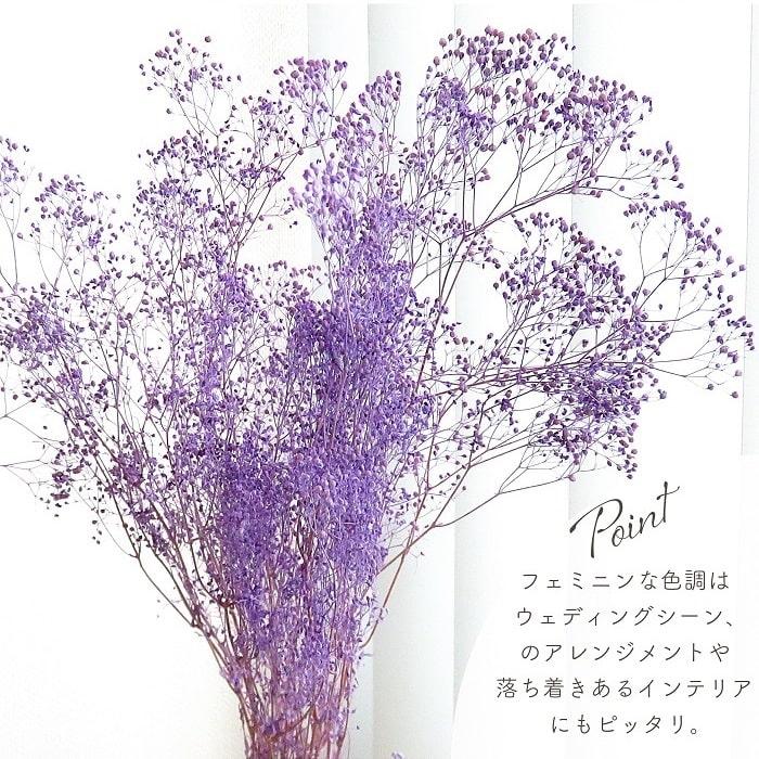 ドライフラワー プリザーブドフラワー ソフトミニカスミ草 エンジェル