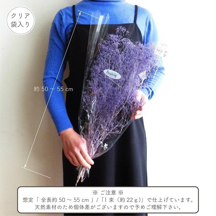 ドライフラワー プリザーブドフラワー ソフトミニカスミ草 エンジェル