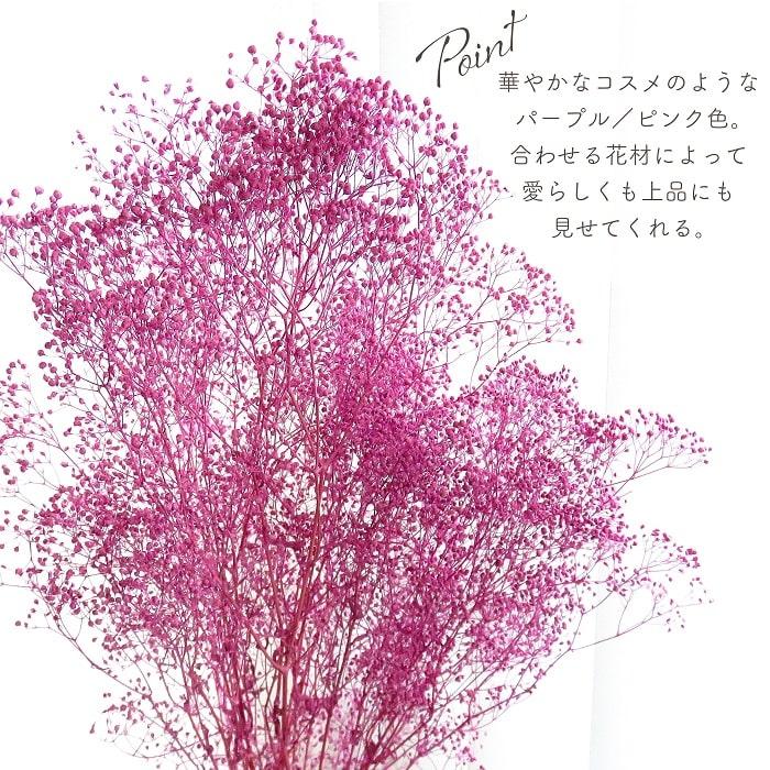 ドライフラワー プリザーブドフラワー ソフトミニカスミ草 ベリー