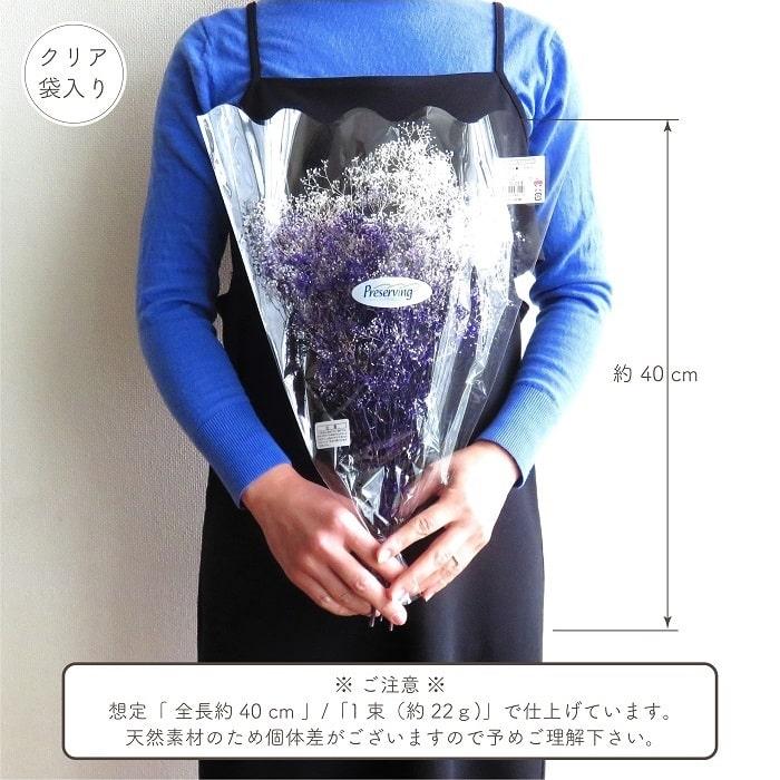 ドライフラワー プリザーブドフラワー ミニカスミ草 フラワーベール 白