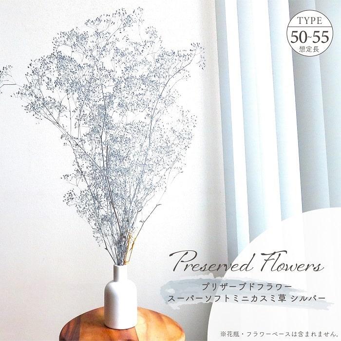 ドライフラワー プリザーブドフラワー スーパーソフトミニカスミ草