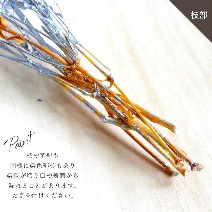 みむ　シルバーかすみ草に
変更 tk-kssv06.jpg