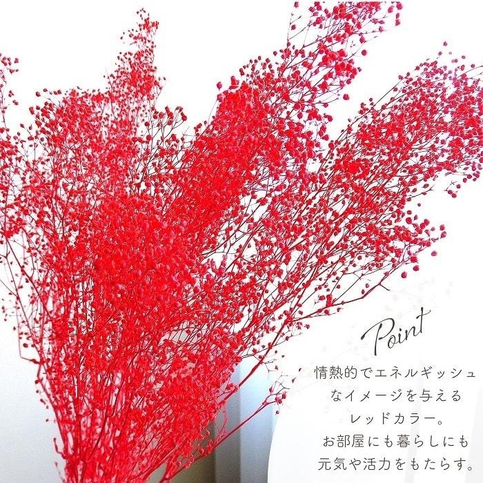 ドライフラワー プリザーブドフラワー ミニカスミ草 レッド 全長約55cm
