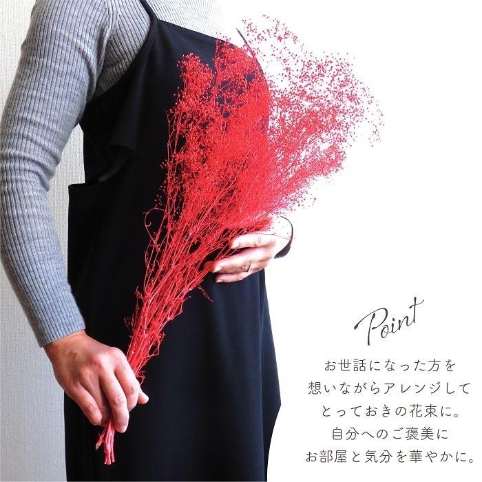 ドライフラワー プリザーブドフラワー ミニカスミ草 レッド 全長約55cm