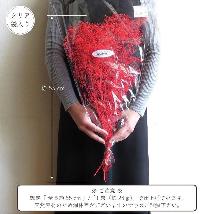 ドライフラワー プリザーブドフラワー ミニカスミ草 レッド 全長約55cm