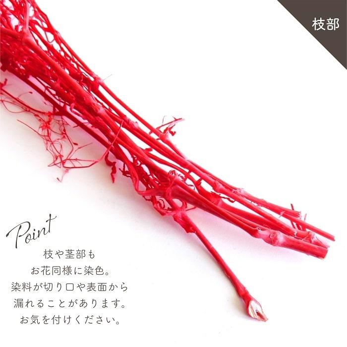 ドライフラワー プリザーブドフラワー ミニカスミ草 レッド 全長約55cm