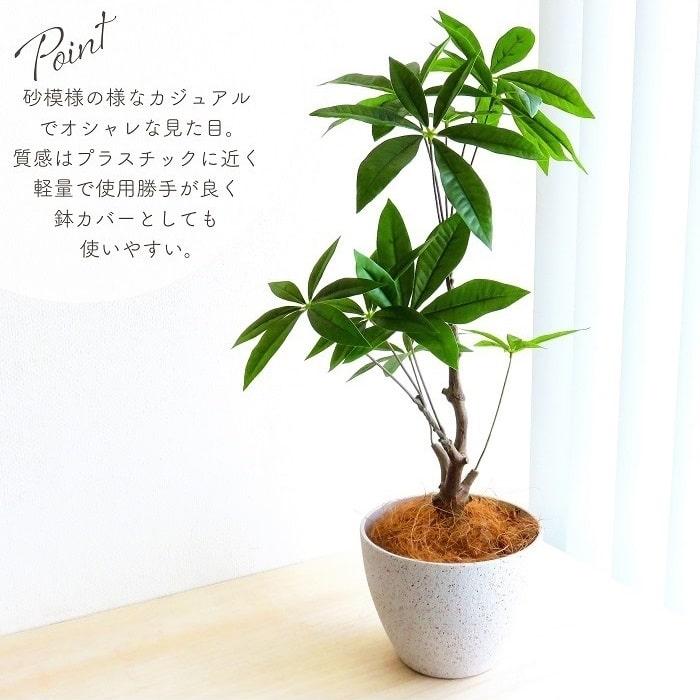 鉢カバー プランターカバー ロクヨンポット シーズ19 ココヤシ