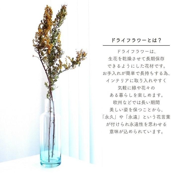 ドライフラワー ミモザ アカシア ナチュラル 全長約50cm 天然素材