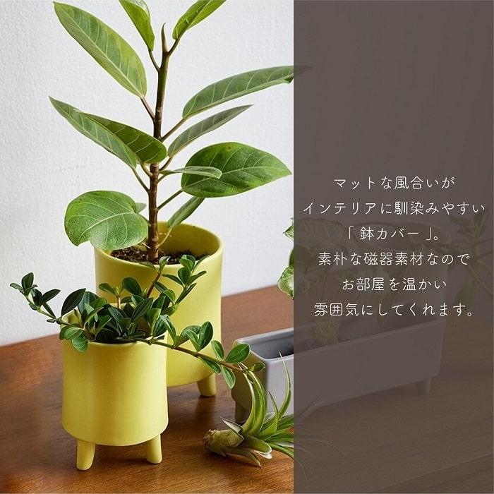 鉢カバー プランターカバー shesay シセイ 磁器製プラントカバーS