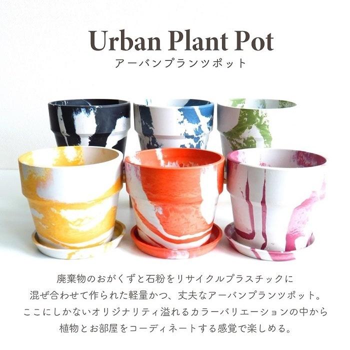 POSH LIVING（ポッシュリビング） 鉢 プランター PLUS the green