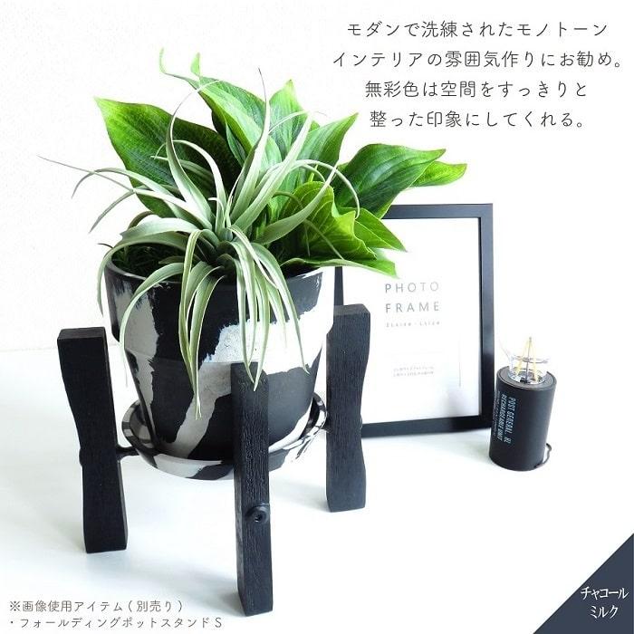 POSH LIVING（ポッシュリビング） 鉢 プランター PLUS the green
