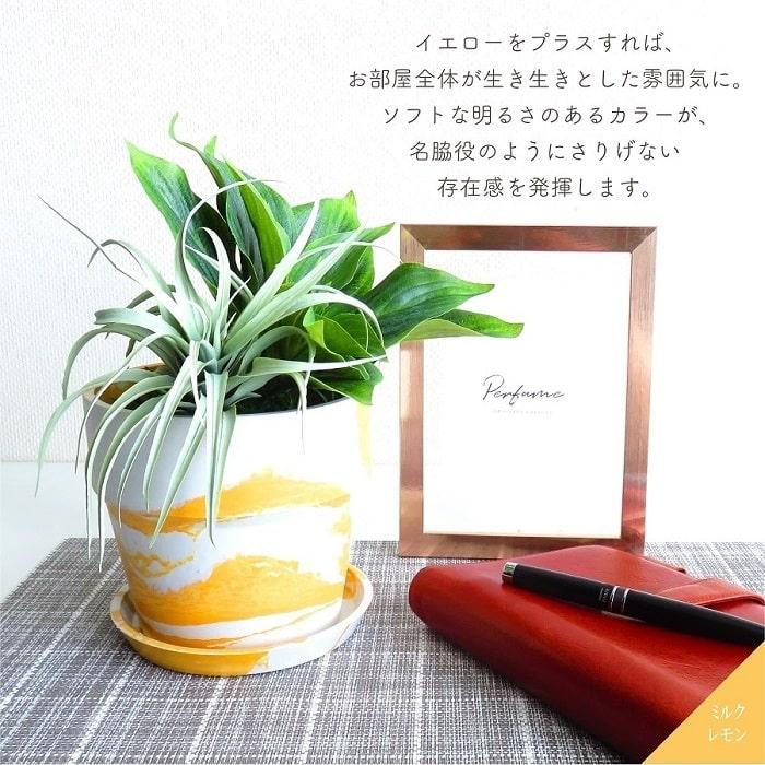 POSH LIVING（ポッシュリビング） 鉢 プランター PLUS the green