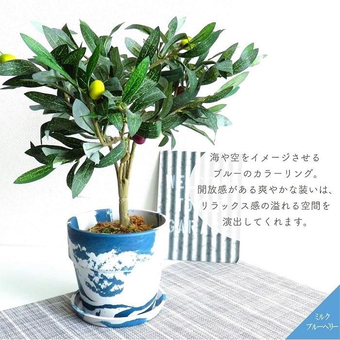 POSH LIVING（ポッシュリビング） 鉢 プランター PLUS the green