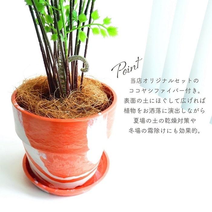 POSH LIVING（ポッシュリビング） 鉢 プランター PLUS the green