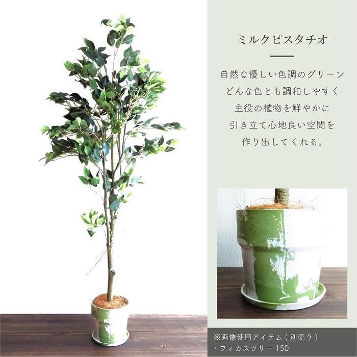 POSH LIVING（ポッシュリビング） 鉢 プランター PLUS the green