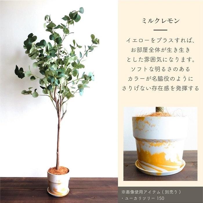 POSH LIVING（ポッシュリビング） 鉢 プランター PLUS the green