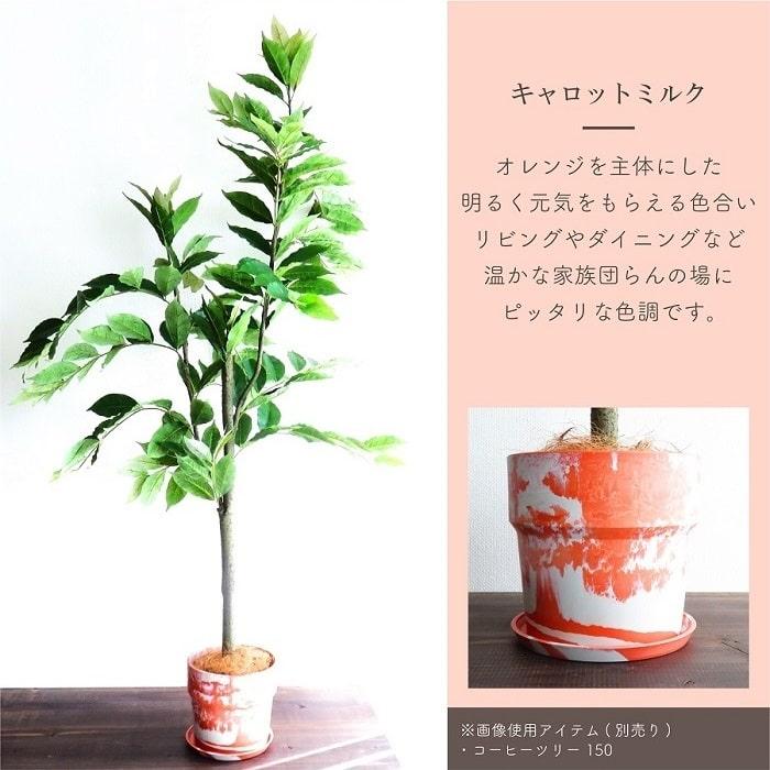 POSH LIVING（ポッシュリビング） 鉢 プランター PLUS the green