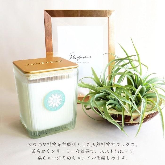 アロマキャンドル マインビーチ フランネルフラワー フレグランス