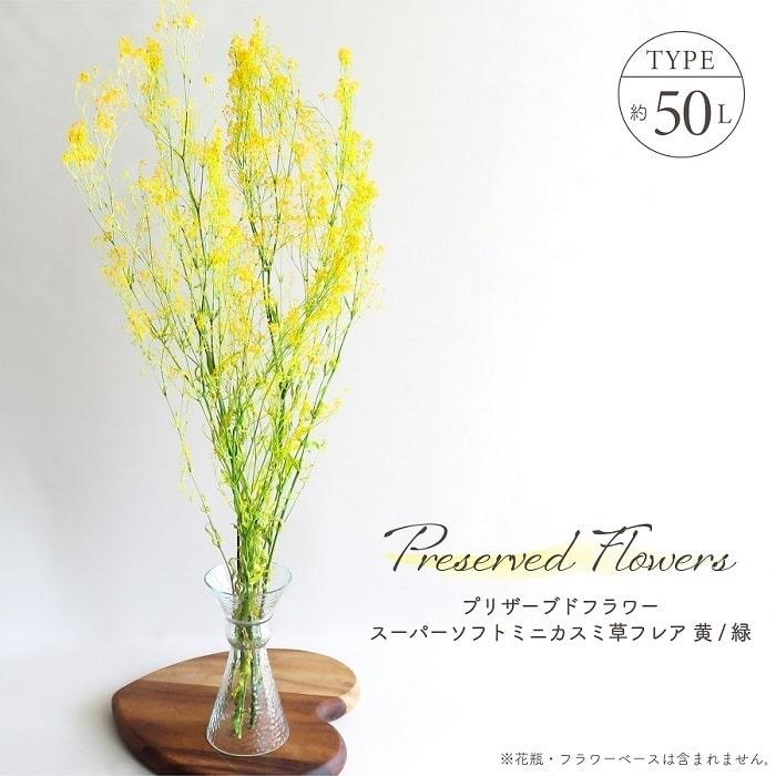 ドライフラワー プリザーブドフラワー スーパーソフトミニカスミ草