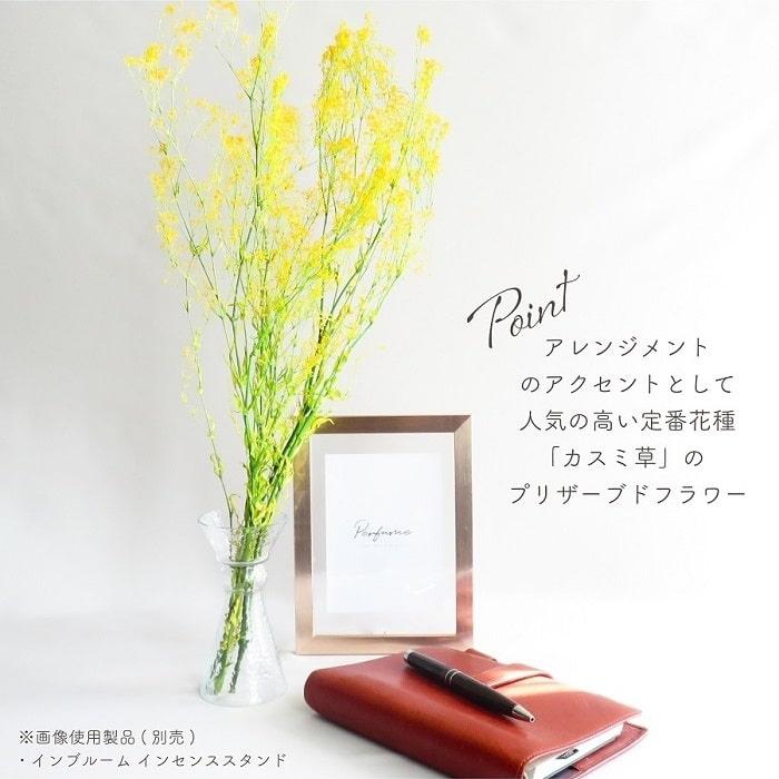 かすみ草　＊フェアリー＊　サイズmix ドライフラワー プリザーブドフラワー スーパーソフトミニカスミ草