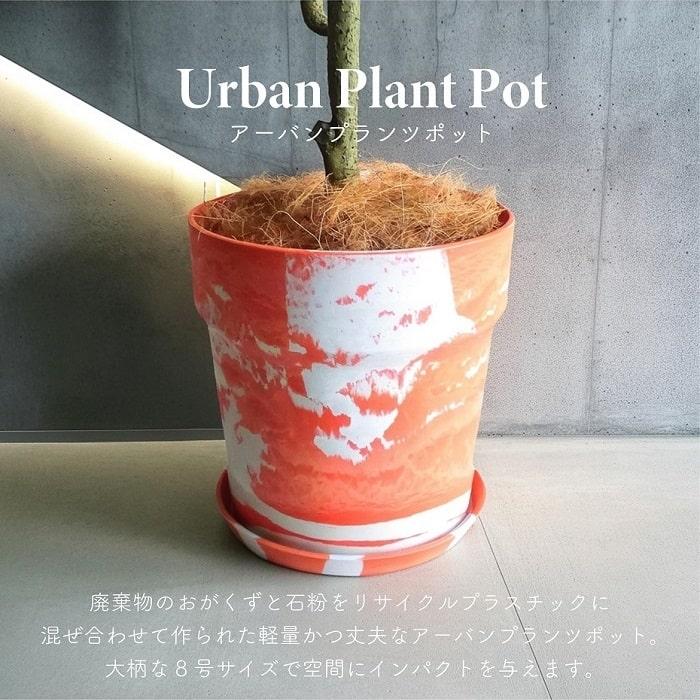 POSH LIVING（ポッシュリビング） 鉢 大型 プランター PLUS the green