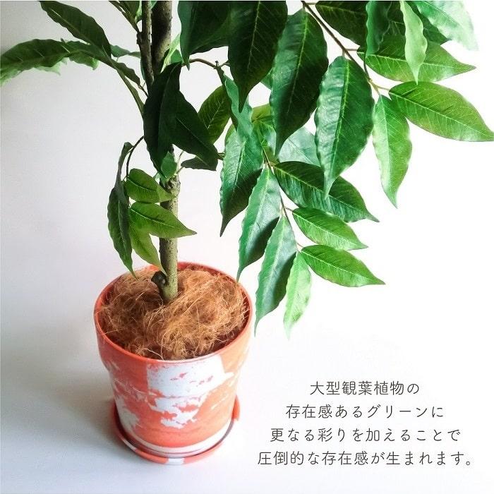 POSH LIVING（ポッシュリビング） 鉢 大型 プランター PLUS the green