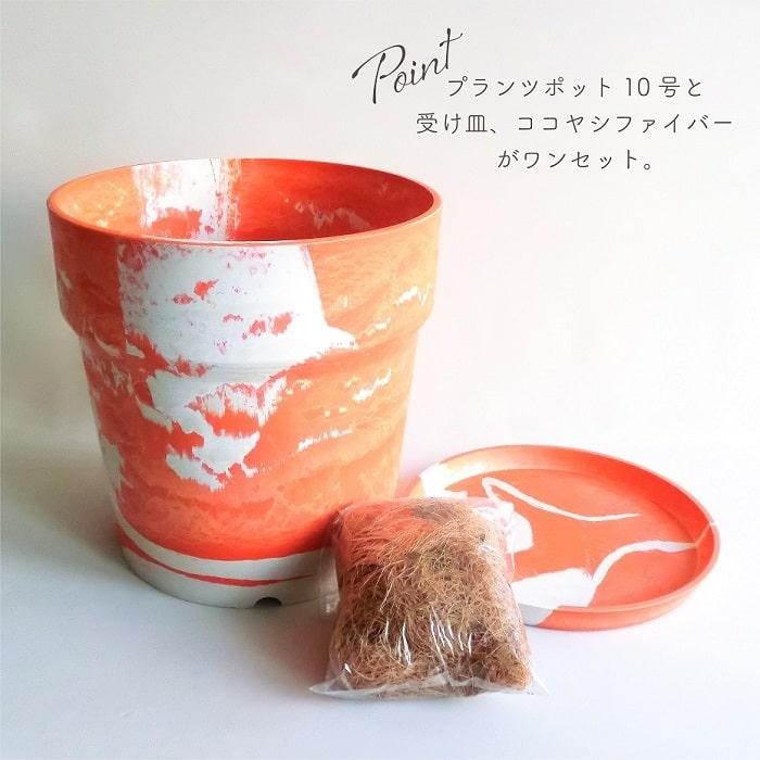 POSH LIVING（ポッシュリビング） 鉢 大型 プランター PLUS the green