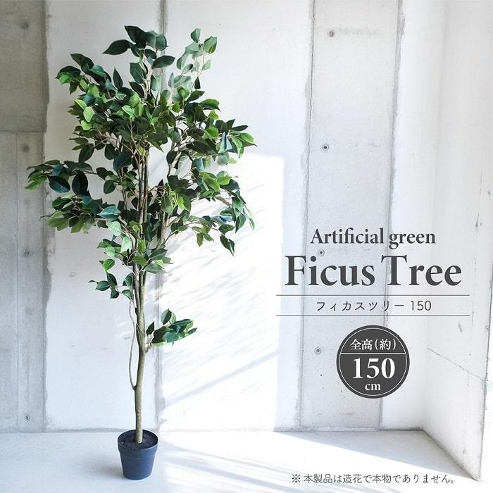 人工観葉植物 U-17132 黒色 人工観葉植物 U-17132 黒色 人工観葉植物 U-17132 黒色 人工観葉植物 U