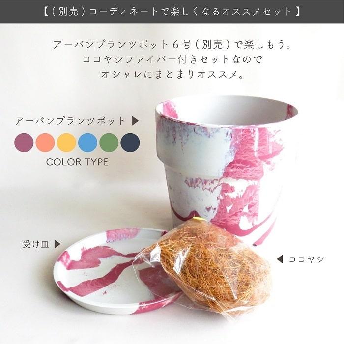 POSH LIVING（ポッシュリビング） 人工観葉植物 アーティフィシャル