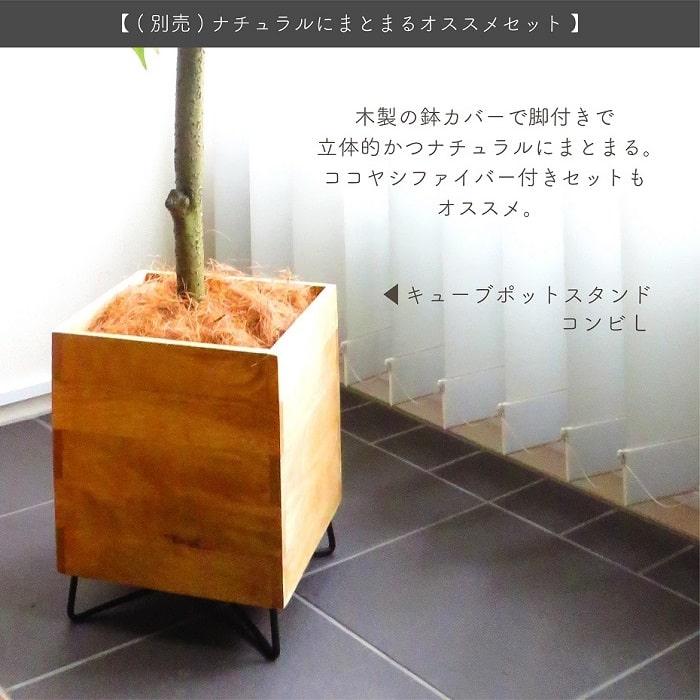 POSH LIVING（ポッシュリビング） 人工観葉植物 アーティフィシャル