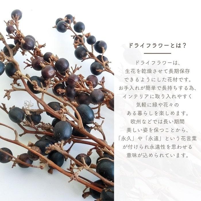 ドライフラワー ブラックベリー ナチュラル 5本入り 全長約50-60cm