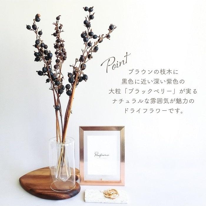 ドライフラワー ブラックベリー ナチュラル 5本入り 全長約50-60cm