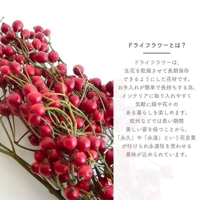 ドライフラワー バラの実 小束 風の花 全長約30-40cm 国産 天然素材