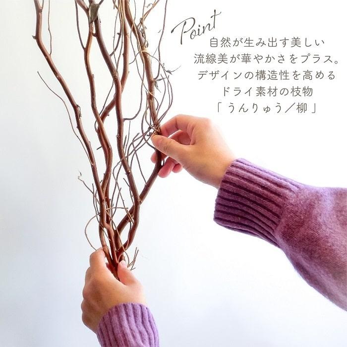 ドライフラワー 雲竜柳 うんりゅう柳 N皮付き 5本入り 無着色 枝もの