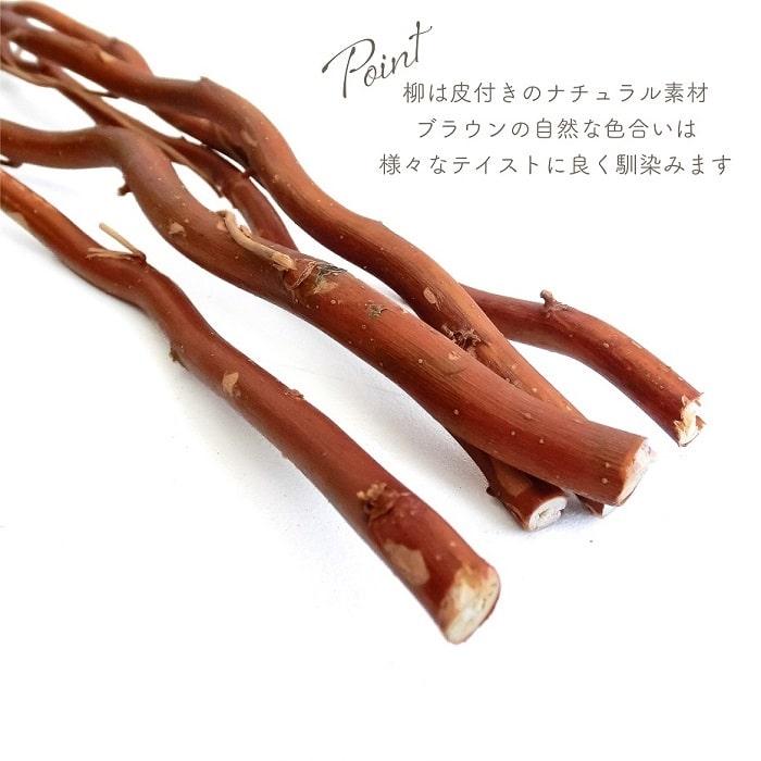 ドライフラワー 雲竜柳 うんりゅう柳 N皮付き 5本入り 無着色 枝もの