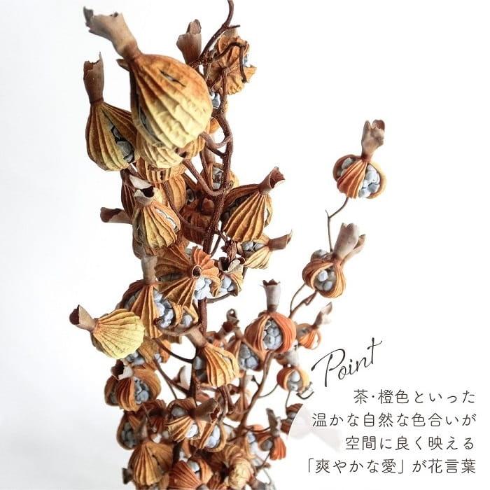 ドライフラワー 月桃／ゲットウ 2本 風の花 全長約23-33cm 沖縄産 天然