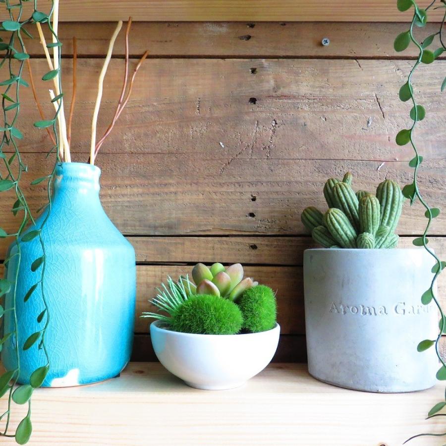 観葉植物 造花 サキュレントリフレリウム ボウルタイプ Ct触媒加工 多肉植物 インテリア 消臭 1053 インク 通販 Yahoo ショッピング